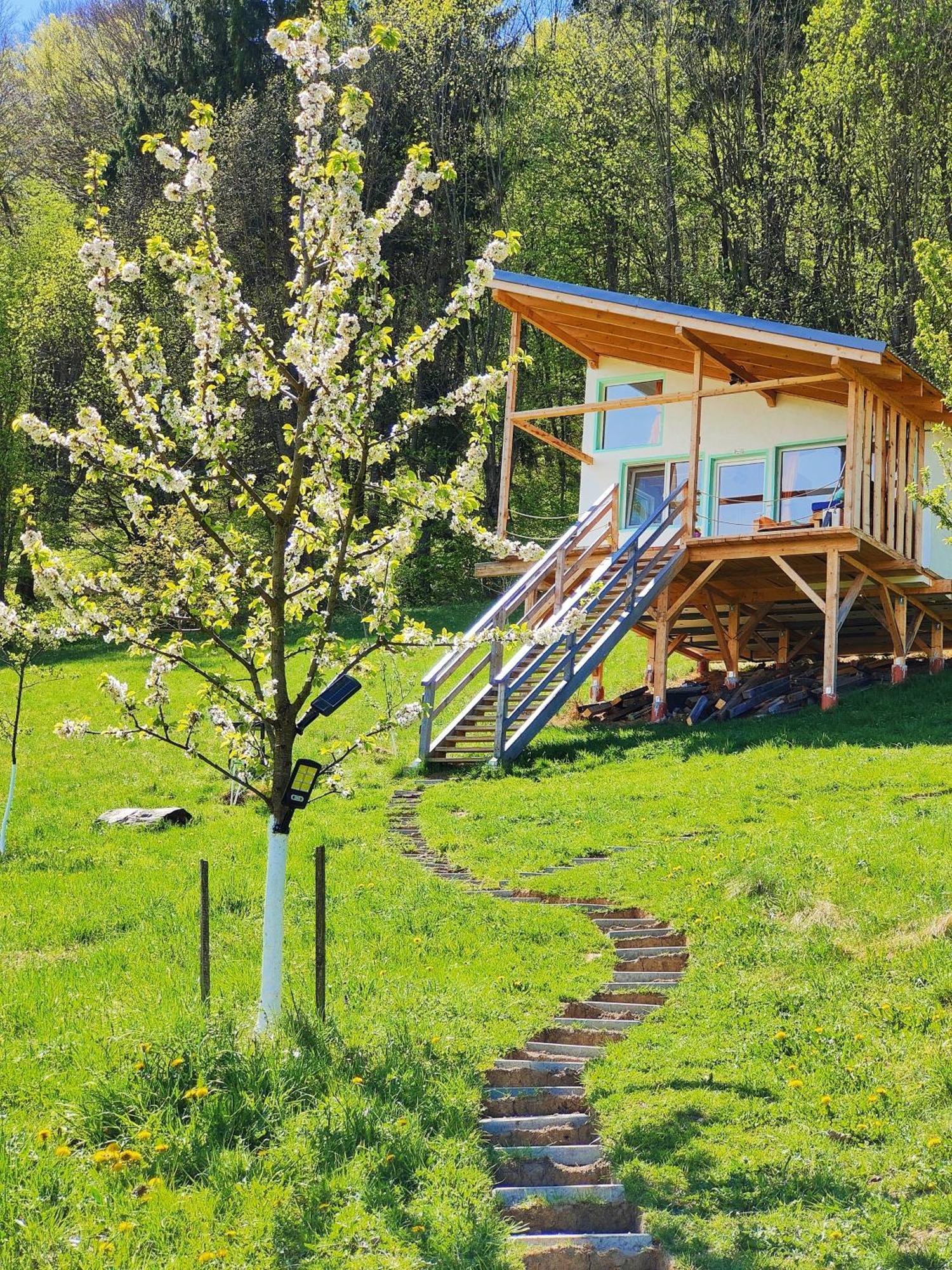 Rainbow Chalet Bran  Luaran gambar